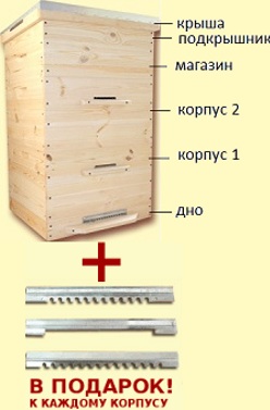 Когда ставить магазины на ульи